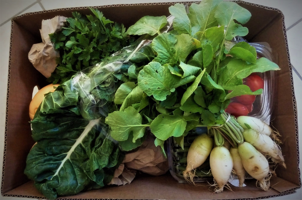 BIG or SMALL option Veggie Box available Country Pantry